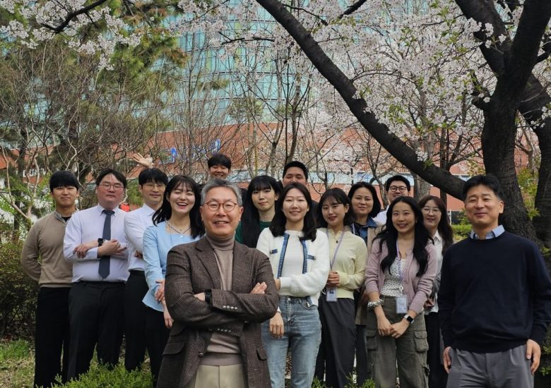 Cherry blossom (March, 2025)